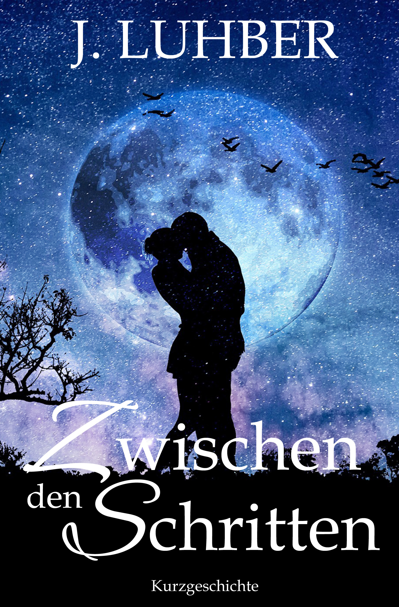 Cover von Zwischen den Schritten