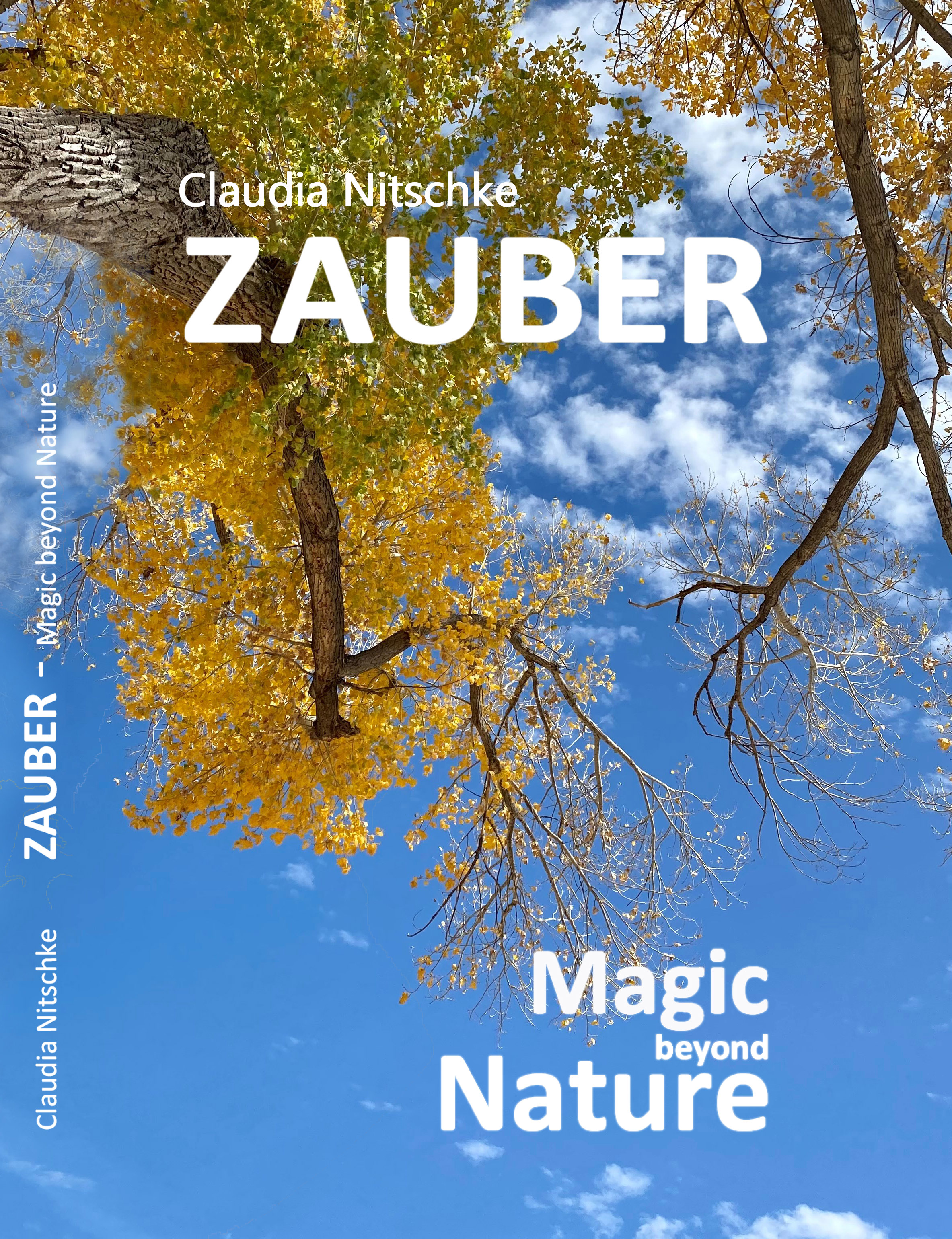 Cover von Zauber