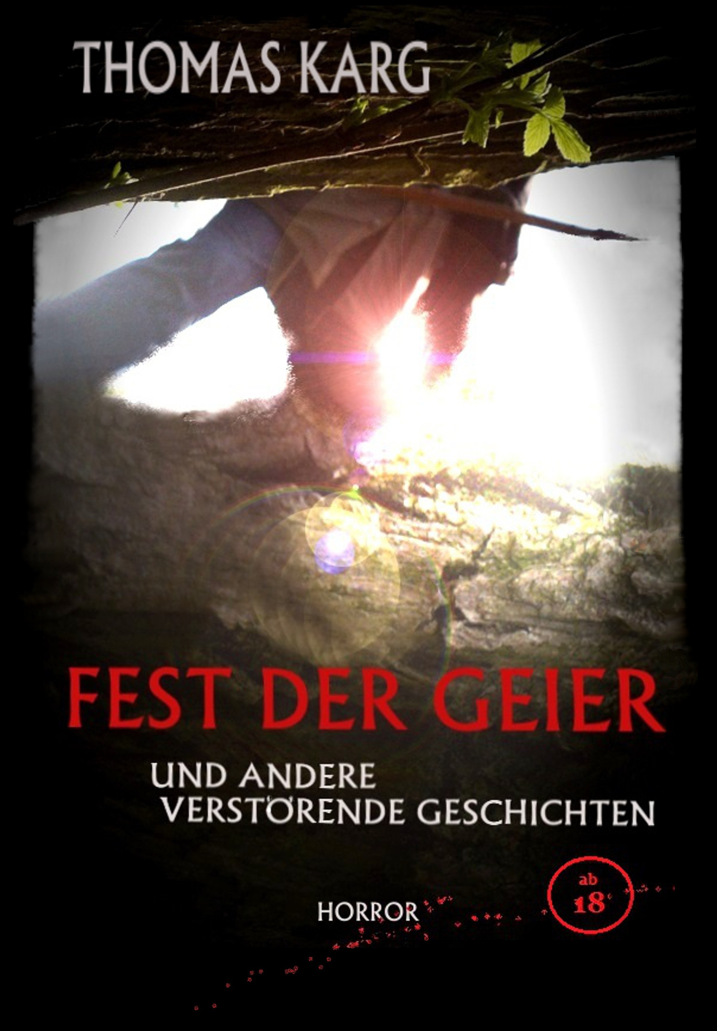 Cover von Fest der Geier und andere verstörende Geschichten
