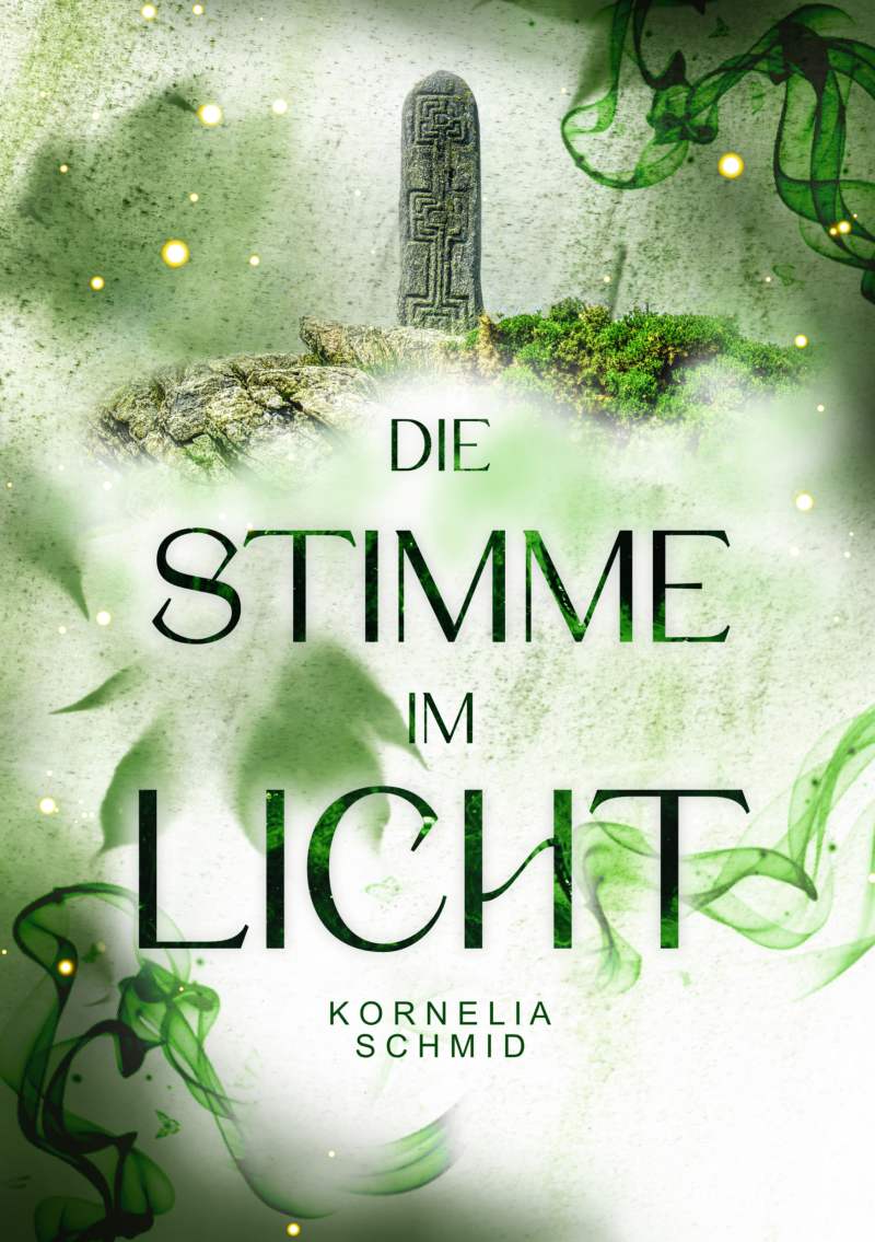Cover von Die Stimme im Licht