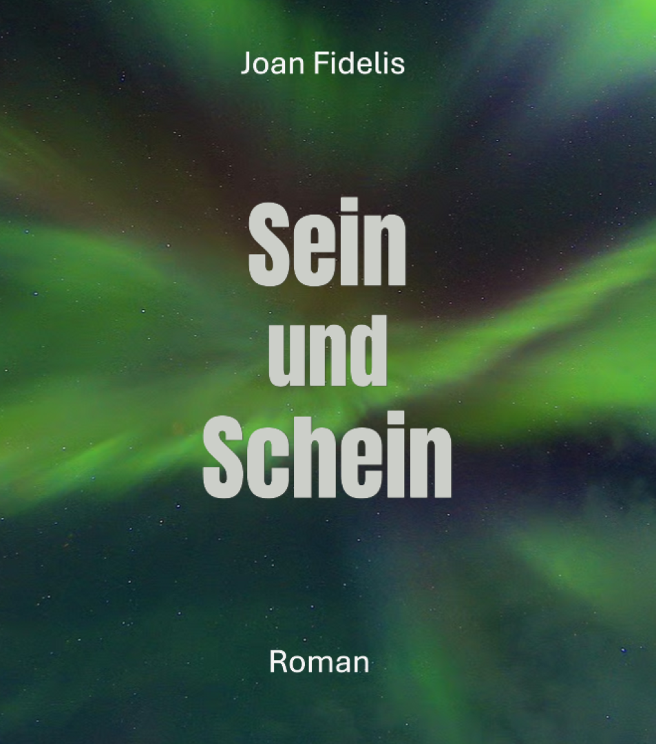 Cover von Sein und Schein